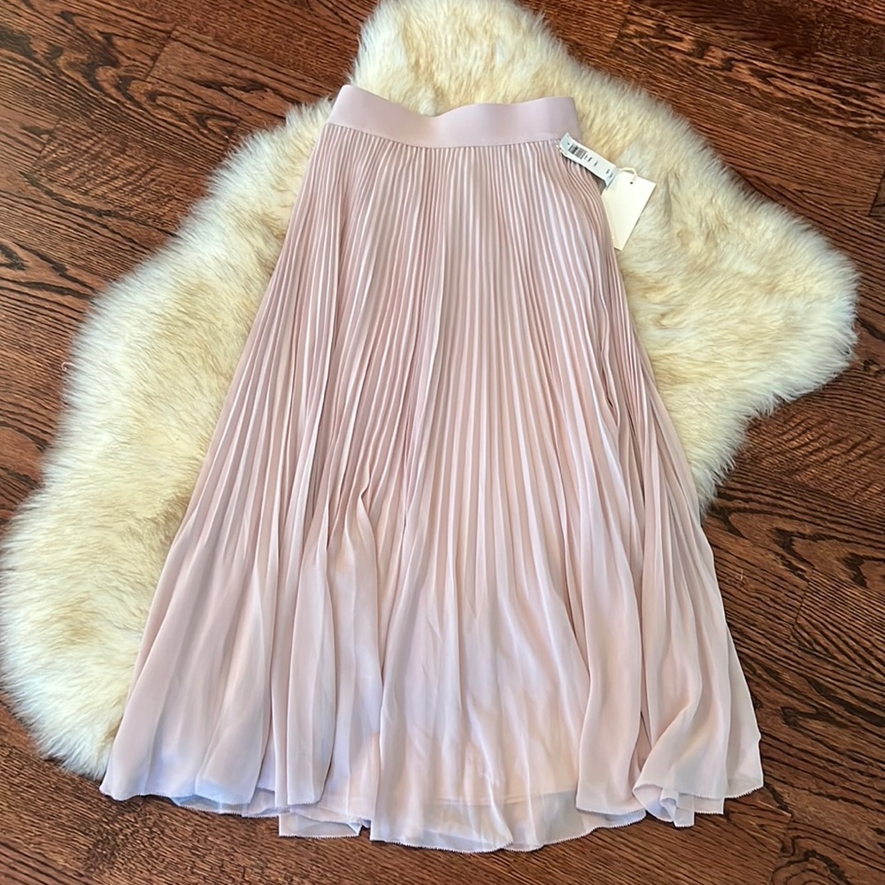 Brand new with tags Wilfred gorgeous pleated flowy skirt.